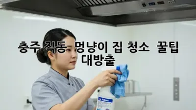 충주 직동 🐾 멍냥이 집 청소, ✨ 꿀팁 대방출!