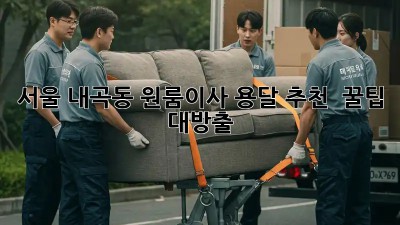 서울 내곡동 원룸이사 용달 추천 🚚💨 꿀팁 대방출!