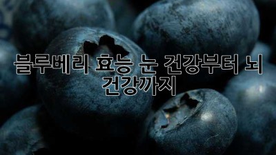 블루베리 효능: 눈 건강부터 뇌 건강까지!