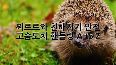 🦔 찌르르와 친해지기! 안전 고슴도치 핸들링 A to Z 💖